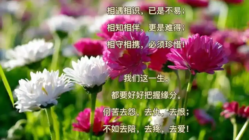 相遇相识,已是不易 相知相伴,更是难得 相守相携,必须珍惜