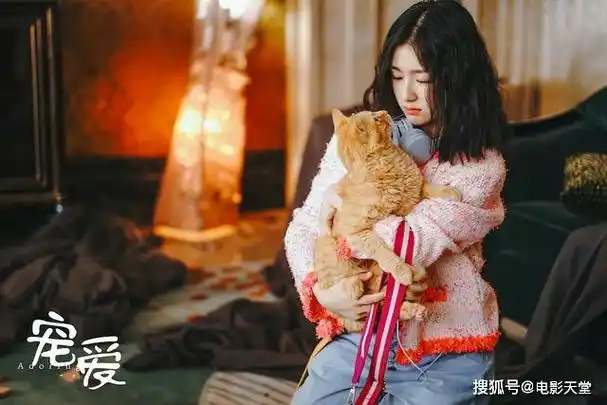 原创宠爱跨年巨制钟汉良养猪陈伟霆钟楚曦闪婚