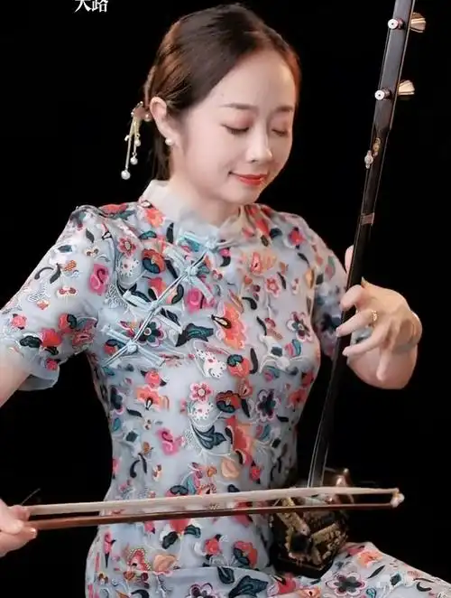 二胡演奏《天路》