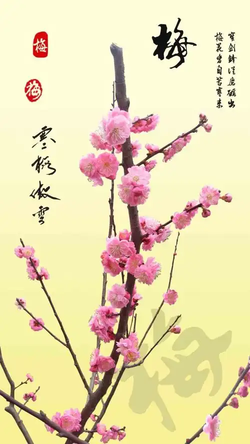 梅字汉字能量易经命名学