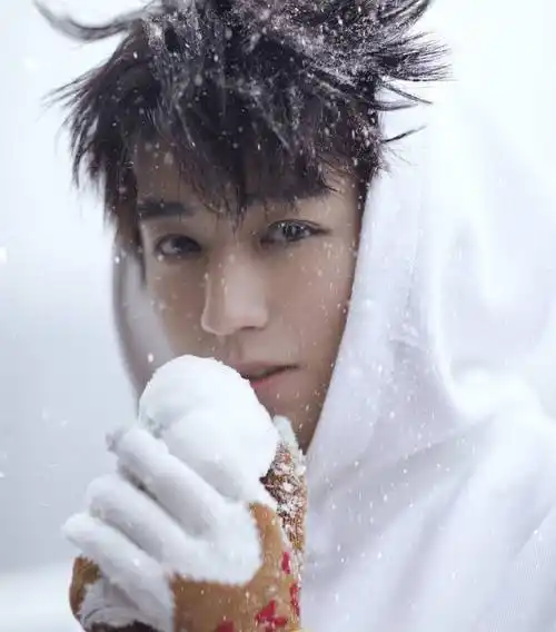 王俊凯堆雪人画面唯美,和柴犬漫步雪地之间,独自远眺_小柴_肚子_因为