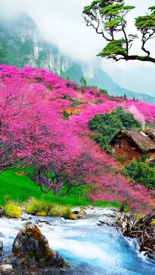 人间仙境#我向往的地方,山清水秀,鸟语花香,远离城市的喧嚣与繁华