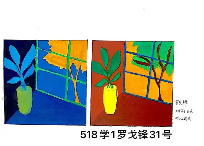 是人们观察色彩时所产生的一种特殊的心理感受