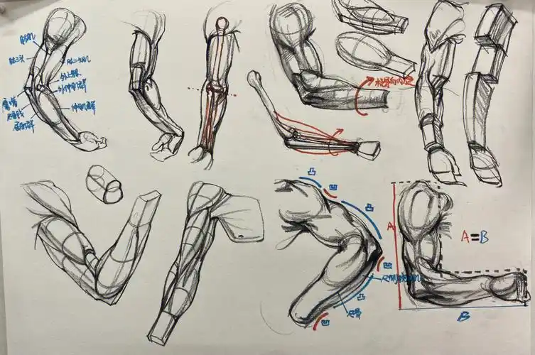 画好速写系列手臂肌肉练习