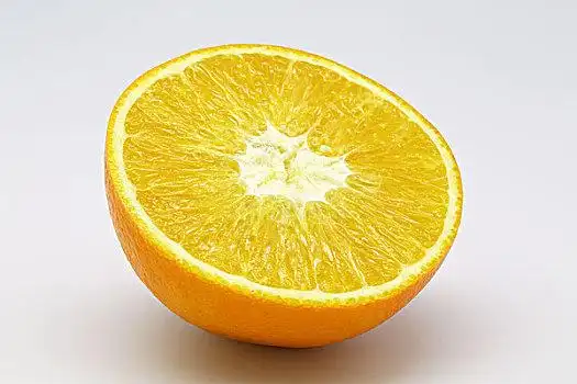 橙子,剖切面