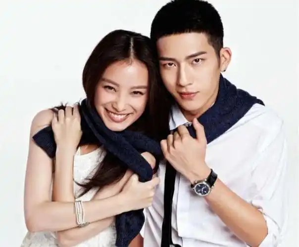 分手6年后,再看井柏然境遇,才发现他和倪妮本就不是"一路人"