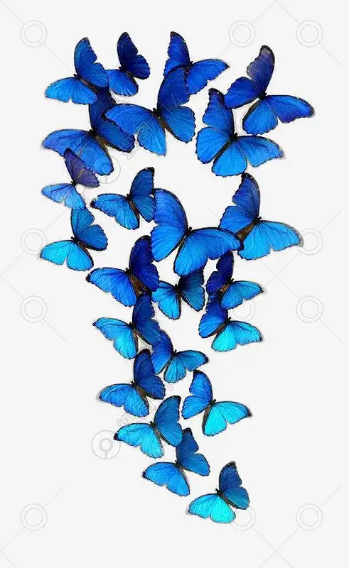 蓝色梦幻唯美飞舞蝴蝶 搜图114分享高清蓝色梦幻唯美飞舞蝴蝶图片免费