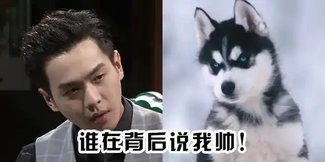 尤其是张若昀的"哈士奇"脸,能否成功挑战大银幕呢?