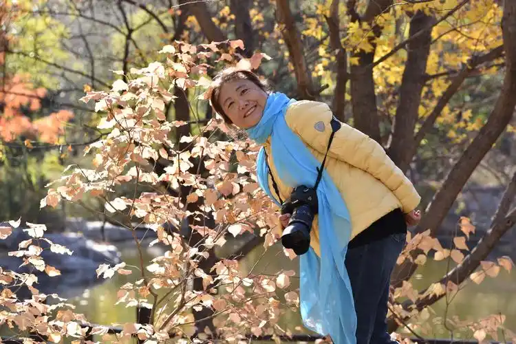 2020年11月8日美丽金秋,北京植物园赏美景人物美拍!个人篇