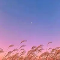 头像自然风景 花草自然风景唯美头像_微信头像图片大全