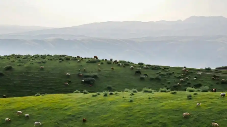 这样的照片能入库视觉中国吗?