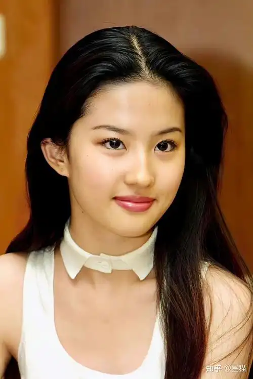 如何客观评价刘亦菲的长相