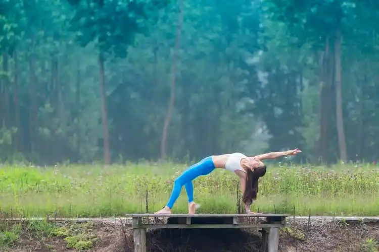 西江生态园:格桑花海灿烂绽放,禅心瑜伽户外活动圆满成功!