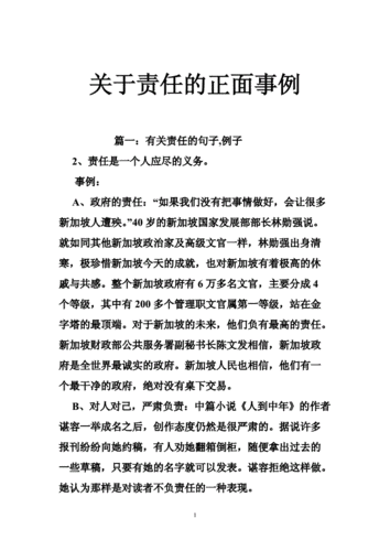 关于责任的正面事例doc25页