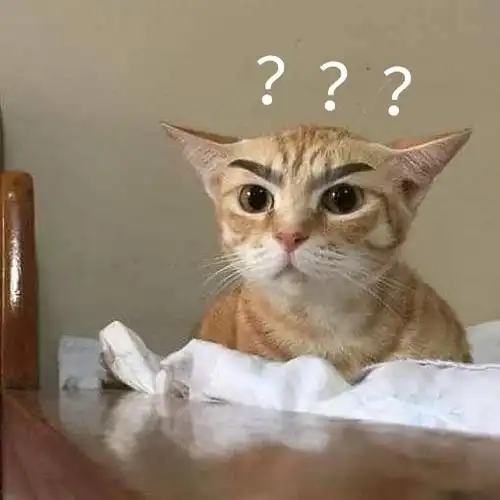 狗子歪头问号表情包