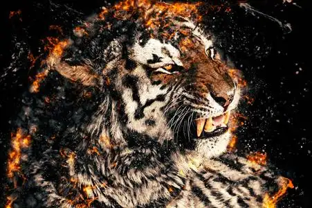 裸露的牙齿的老虎的脸的特写,火图照片