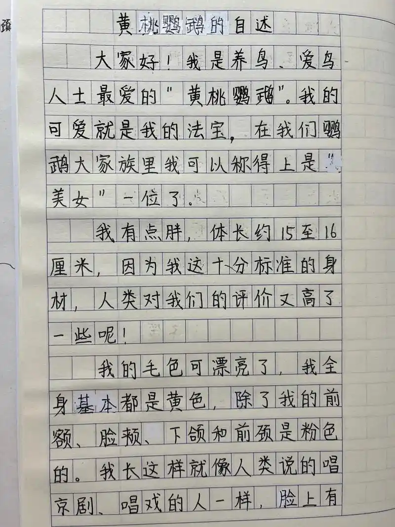 第五单元作文手稿