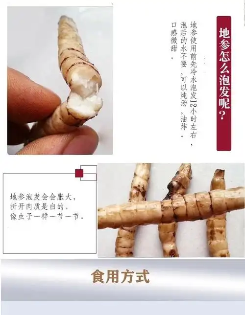 地参干货虫草参云南泽兰根竹节参新鲜煲汤料地龙菜地参250克实惠装