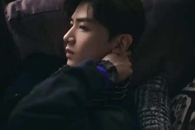 白敬亭品牌代言帅气写真图片59