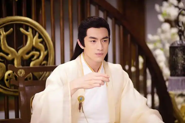 中国颜值最高十大男星(长相剑眉星目的10位男明星)插图30