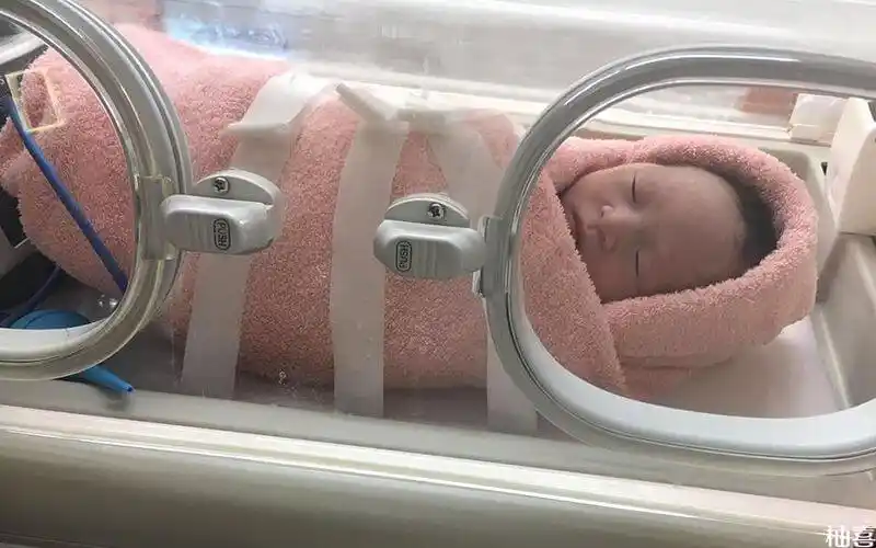 35周五斤重的早产儿放保温箱多久才能达到出院标准