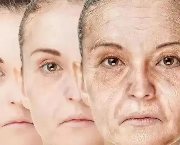 皮肤缺水长皱纹,毛发变白,肌肉萎缩,身体各项代谢活动也逐渐减慢.