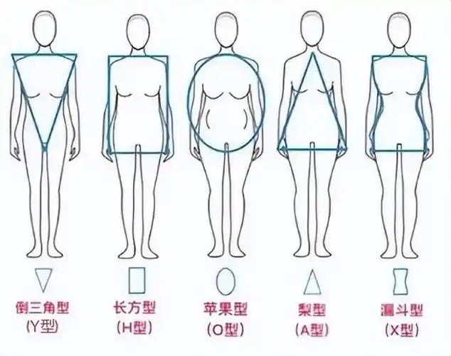 如何判断自己的体型女(如何判断自己的体型女性)