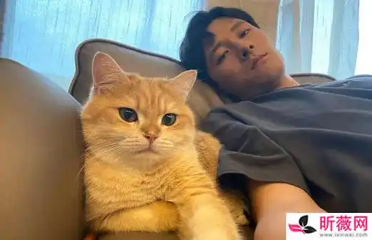 张雨剑为什么叫人间清醒张雨剑骆哥的外号是怎么来的呢