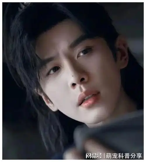 男频赛道没人打得过张若昀,演技就是大男主剧最大的保障|庆余年|古装