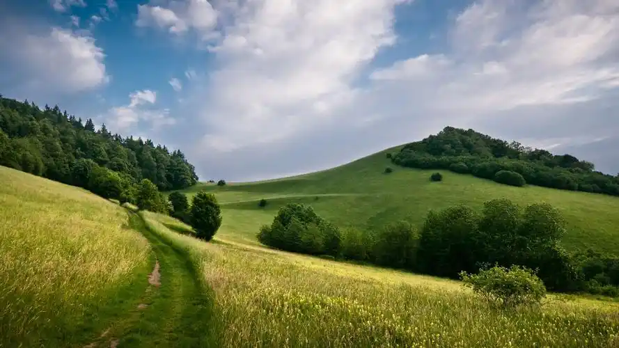 清新田野蓝天大自然风景壁纸(2)
