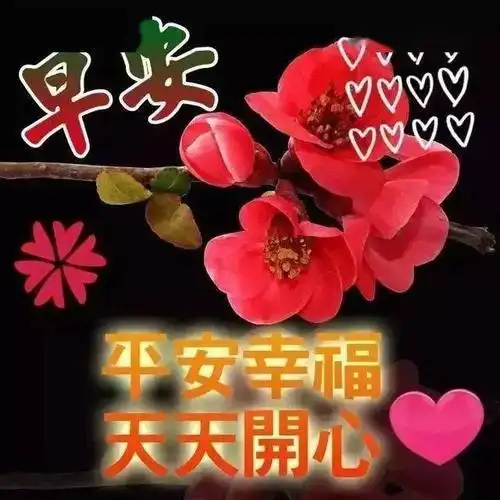 中老年早上好表情包最新早上好特漂亮的祝福图片朋友圈温馨的早上好