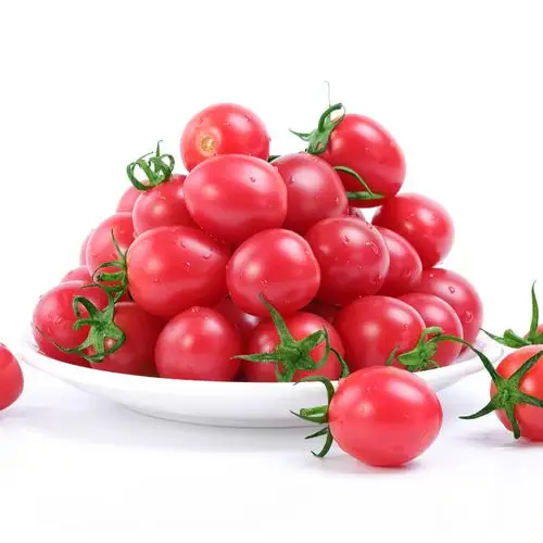 千禧圣女果新鲜现摘小番茄蔬菜水果樱桃小柿子孕妇生吃西红柿5斤