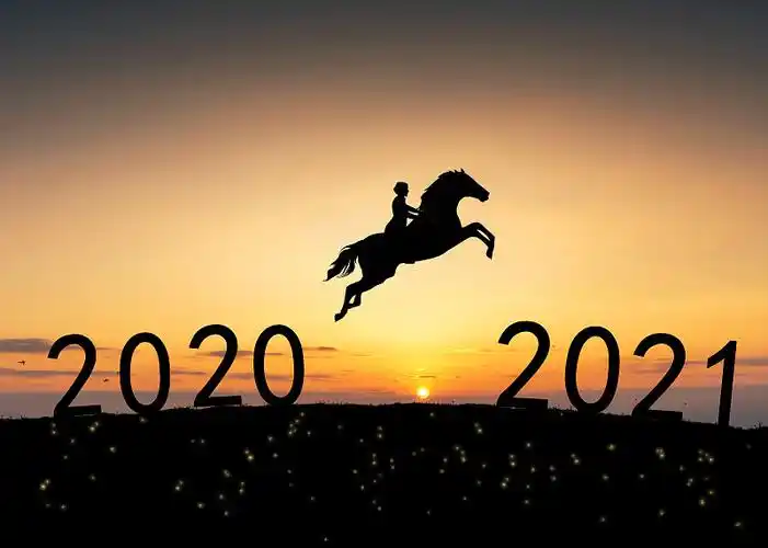 2020到2021