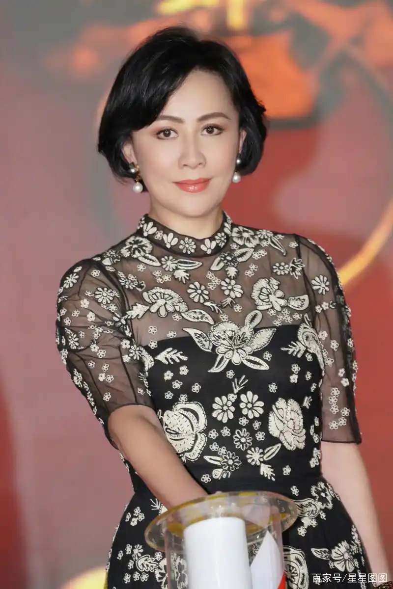 明星图集~刘嘉玲