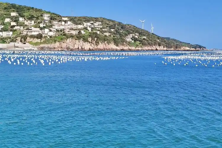 嵊泗之行 二.花鸟岛