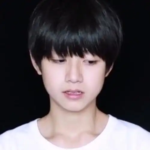 朱志鑫可二改二改见简介