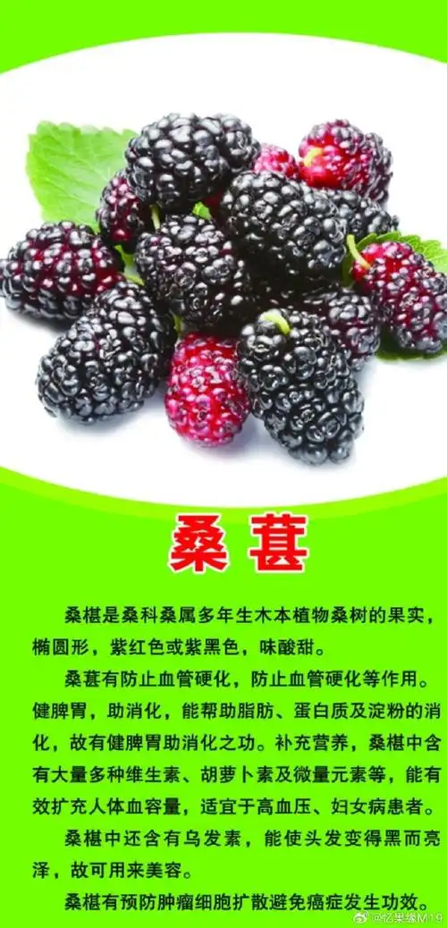 桑椹是一种常见的中药材,它具有多种功效和作用,包括:1.