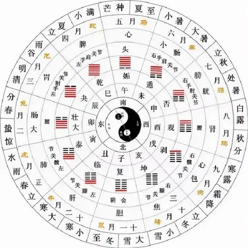 曾仕强学堂编辑部《易经》64卦中,有12个卦对应着十二个月,即十二消息