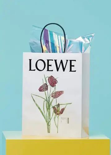 壁纸背景loewe