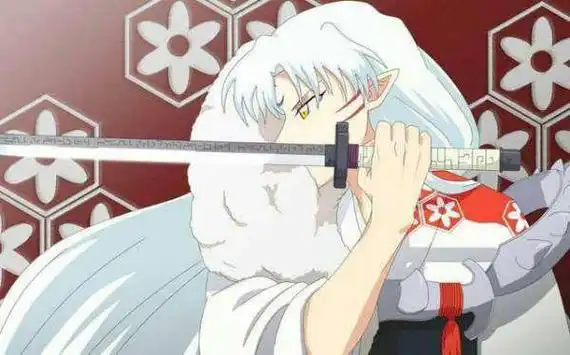 那个有没有白发红瞳少年的动漫角色啊