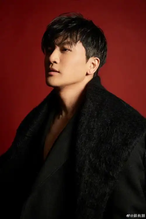 苏有朋怎么也要消失了##十天之后回到现实