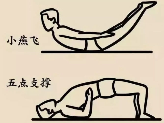 小贴士:久坐的上班族要注意腰背肌锻炼,锻炼方式有小燕飞,五点支撑等