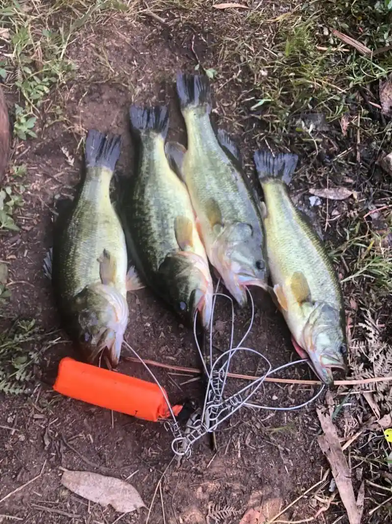 就三张图片  视频不发  位置加群联系.#鲈鱼路亚 #鲈鱼 - 抖音