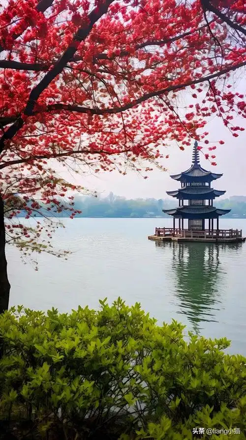 西湖美景,太漂亮了