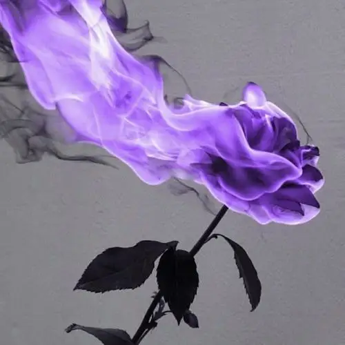 紫色火焰溃败玫瑰机壳苹果安卓iphone手机保护套