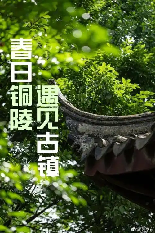 春游江淮 请来铜陵丨在春日的铜陵古镇,我与江南复