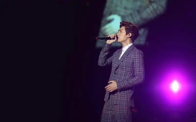 李易峰演唱会帅气电脑壁纸