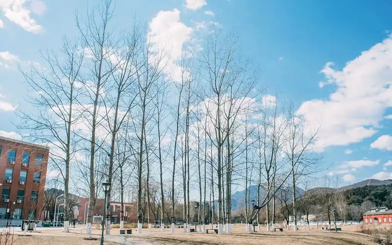 校园小清新美景图片桌面壁纸