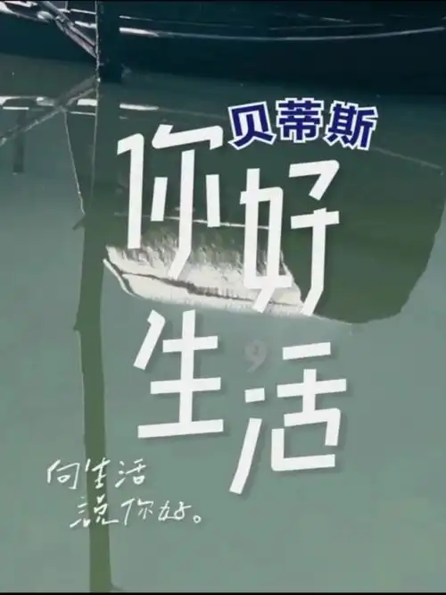 你好生活第一季央视综艺神仙文案