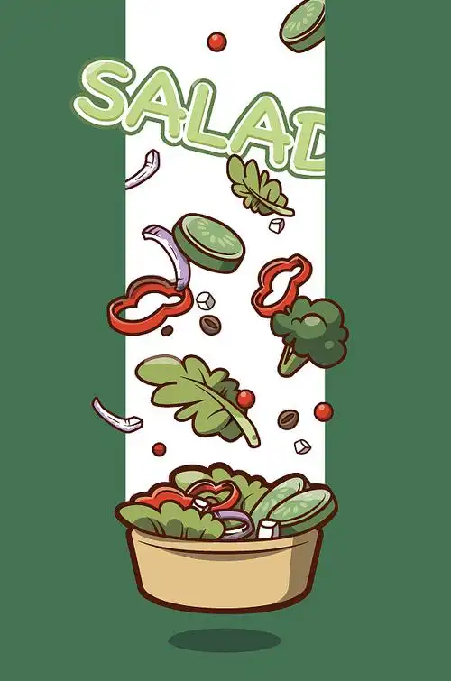 沙拉轻食插图